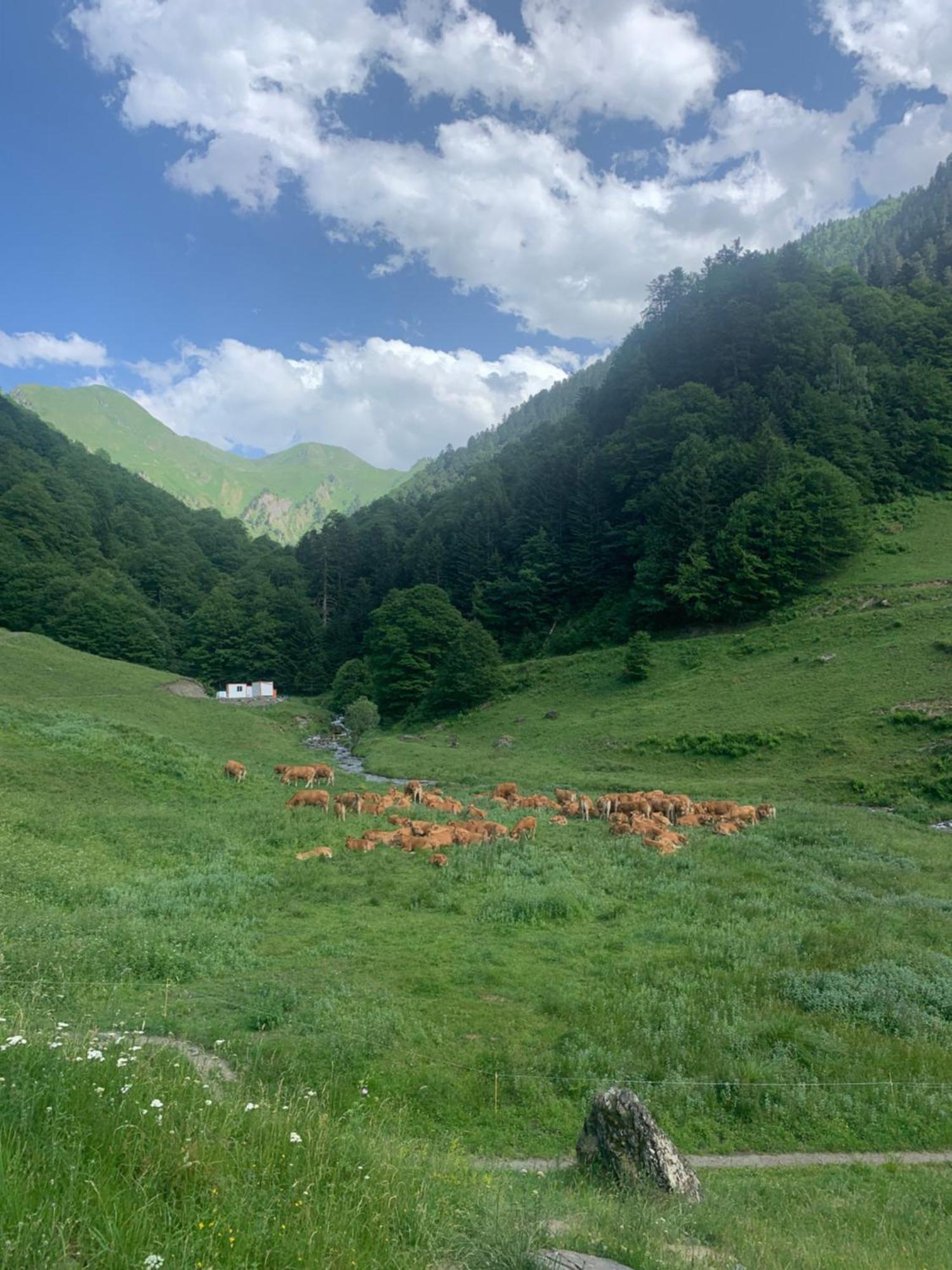 Appartement 2 Personnes Cures Ski Luchon Bagnères-de-Luchon Dış mekan fotoğraf